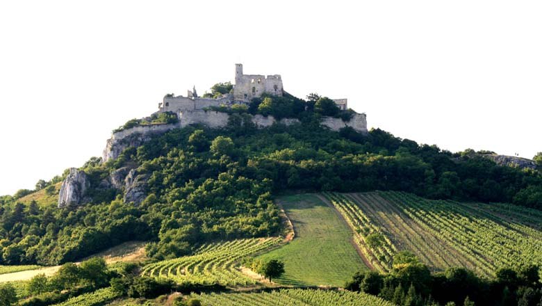 Burgruine Falkenstein, © Weinort Falkenstein