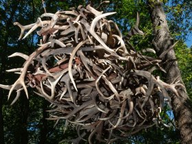 Landart Installation im Schlossparkt Eckartsau, © Donau Niederösterreich - Tourismusbüro Carnuntum-Marchfeld