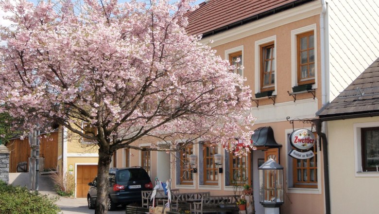 Gasthof zur Kirche, © Gasthof zur Kirche