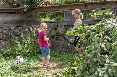 Hasen streicheln im Aussengehege, © Einkehrhof Poggau