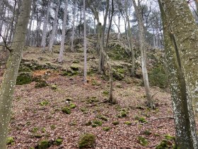 In der Wolfsschlucht, © Wiener Alpen in Niederösterreich