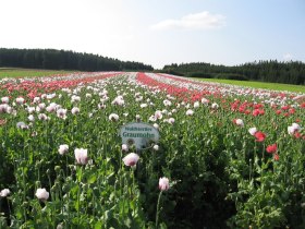 Sallingberg, © © Gemeinde Sallingberg