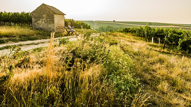 Entspannen in Herrnbaumgarten, © Robert Herbst