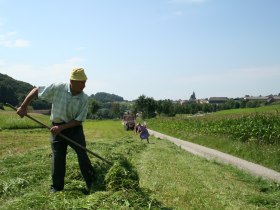 Heuarbeiten bei Maria Laach, © Arbeitskreis Wachau/Ronald Würflinger