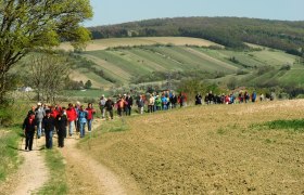 Wandern am Jakobsweg in Sieghartskirchen, © Marktgemeinde Sieghartskirchen