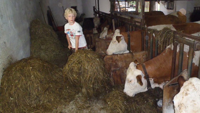 Bauernhof Waira, © Fam. Schauer-Zeitlhofer