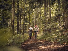 Trekkingstrecke durch den westlichen Wienerwald, © Wienerwald Tourismus GmbH / Christoph Kerschbaum