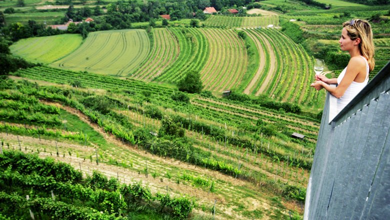 Widok na Traisental, © weinfranz.at