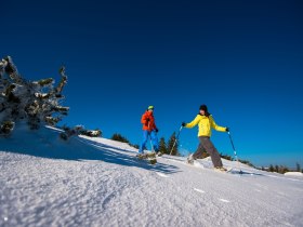 Schneeschuhwandern, © ©Wiener Alpen, Foto: Claudia Ziegler