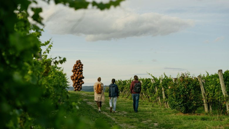 WEINWEG Langenlois, © Niederösterreich-Werbung / Julius Hirtzberger