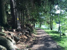 Wanderweg Nr. 31, Natur und Kultur, © Gemeinde Allentsteig