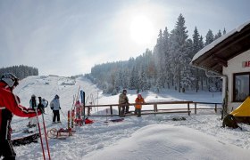 Arabichl, © Wiener Alpen, Franz Zwickl