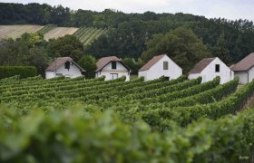 Kellergasse Prellenkirchen, Römerland Carnuntum, © Donau Niederösterreich