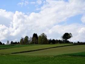 Friesenhof-Wanderweg, © Josef Kettinger