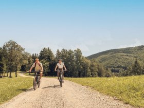 MTB Wienerwald Elsbeere, © Wienerwald Tourismus/Studio Kerschbaum