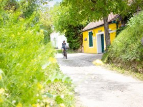 unterwegs in der Kellergasse Fels am Wagram, © Donau Niederösterreich - Kamptal-Wagram-Tullner Donauraum