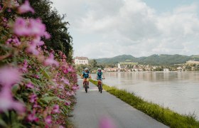 Radfahren in Grein, © WGD Donau Oberösterreich Tourismus GmbH