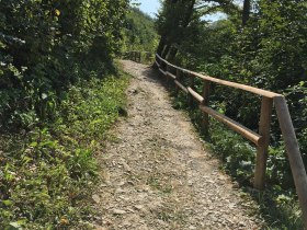 Naturlehrpfad, © Wienerwald Tourismus GmbH / Naturpark Purkersdorf