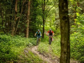 Granittrail, © Waldviertel Tourismus, Erwin Haiden