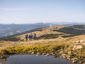 Wandern am Alpannonia Weitwanderweg, © Wiener Alpen in Niederösterreich - Alpannonia