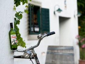 Polt Radweg, © Weinviertel Tourismus GmbH