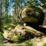 Unser Wald, direkt hinter dem Biohof, ist ein Erholungsgebiet für Körper und Seele., © Biohof Hammerschmidt