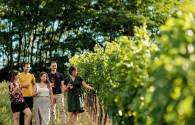 Weinwanderung mit dem Weingut Neustifter, © Michael Reidinger