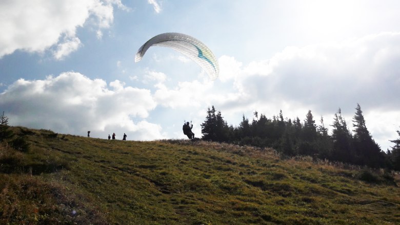 Paragleiter am Ötscher, © Karas