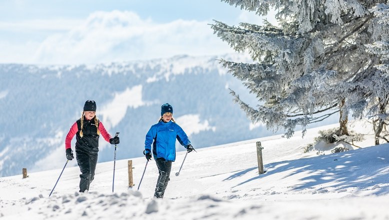 Wechsel-Panoramaloipe, © L&WSV Kirchberg am Wechsel