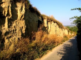 Hohlweg, Großschweinbarth, © Lauer