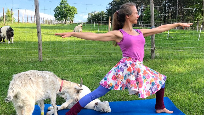 Yoga mit Ziegen, © Die Meckerei