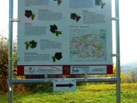 Schautafel mit Rebsorte, © Wienerwald Tourismus GmbH / Weinbauverein Brunn