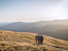 Wandern am Alpannonia Weitwanderweg - Pfaffensattel, © Wiener Alpen in Niederösterreich - Alpannonia