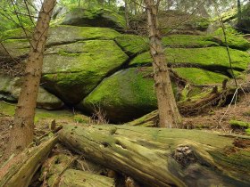 Bärentrail im Waldviertel - der neue Sidestep "Felsengarten", Steinerne Stube, © Matthias Schickhofer