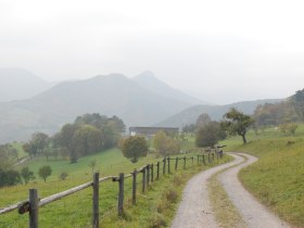 am Weg nach Rehgras, © Wienerwald