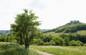 Falkenstein, Blick auf die Burgruine, © Himml