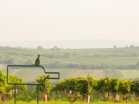 Zellerndorf, © Astrid Bartl