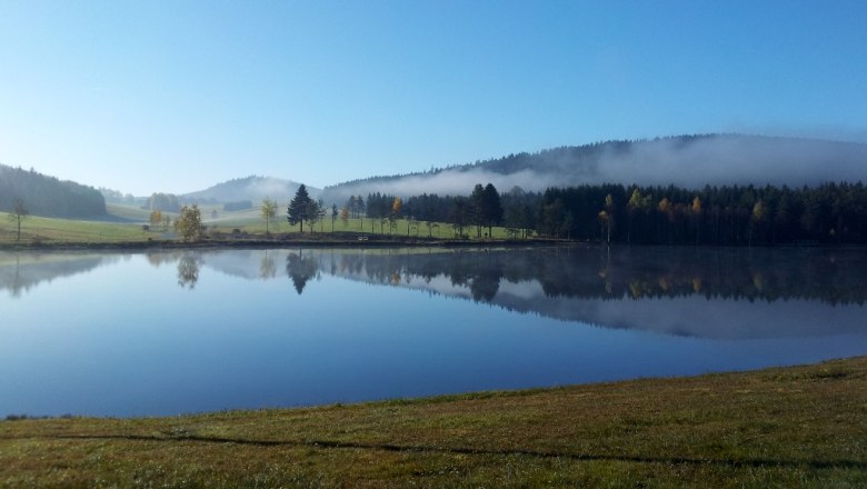 frauenwieserteich-c-broederbauer-qalter5, © Ing. Walter Bröderbauer