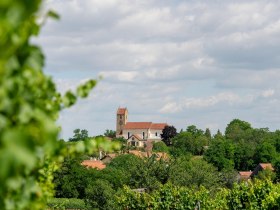 Wehrkirche Hohenwarth, © Donner|Weinstraße Weinviertel West