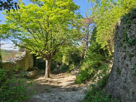 Rauheneck innen, © Baden Tourismus