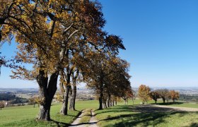 Herbstliche Landschaften, © Brigitte Hofschwaiger