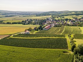 Grossweikersdorf, © Donau Niederösterreich - Kamptal-Wagram-Tullner Donauraum