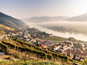 Aussicht vom Spitzer 1000-Eimer-Berg auf die Donau, © Robert Herbst