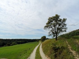 Marterlweg, © Mostviertel - Jakobsweg