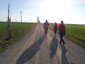 Wandergruppe am Jakobsweg, © Donau Niederösterreich - Tourismusbüro Carnuntum-Marchfeld