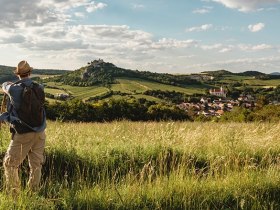 Blick auf die Burgruine Falkenstein, © Michael Reidinger