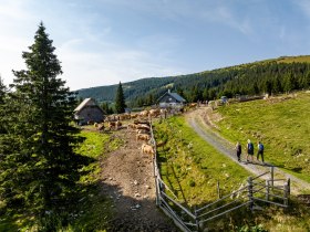 Bei der Kranichberger Schwaig, © Wiener Alpen in Niederösterreich