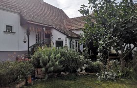 Scherben, Blüten, Blatt und Feder, © "Natur im Garten"