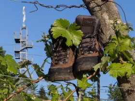 Korkenzieher Traismauer, © Donau Niederösterreich - Kamptal-Wagram-Tullner Donauraum