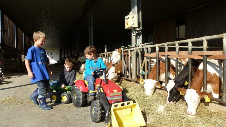 Leben am Bauernhof, © Kerndlerhof